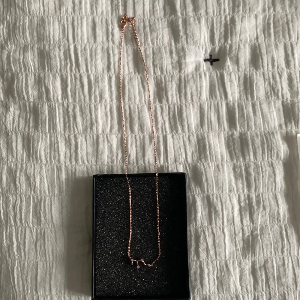 PAVOI - NIB Virgo necklace
